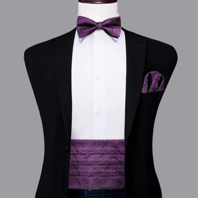 Paisley Cummerbund masculino, conjunto gravata borboleta, espartilho de smoking formal, cinto elástico para casamento, designer de luxo Hi-Tie, roxo