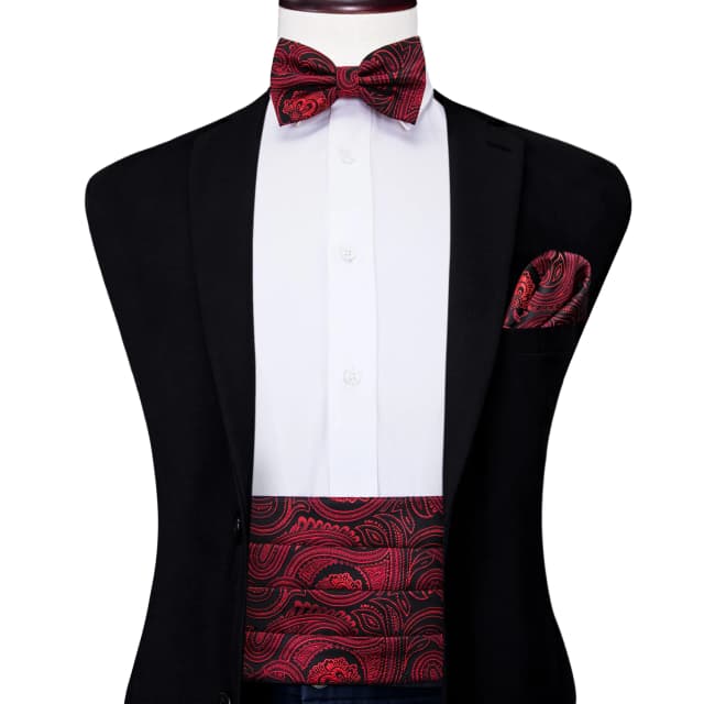 YF-2006 hi-tie designer de luxo paisley vermelho cummerbund gravata borboleta conjunto formal smoking espartilho cinto elástico para homens casamento cummerbunds
